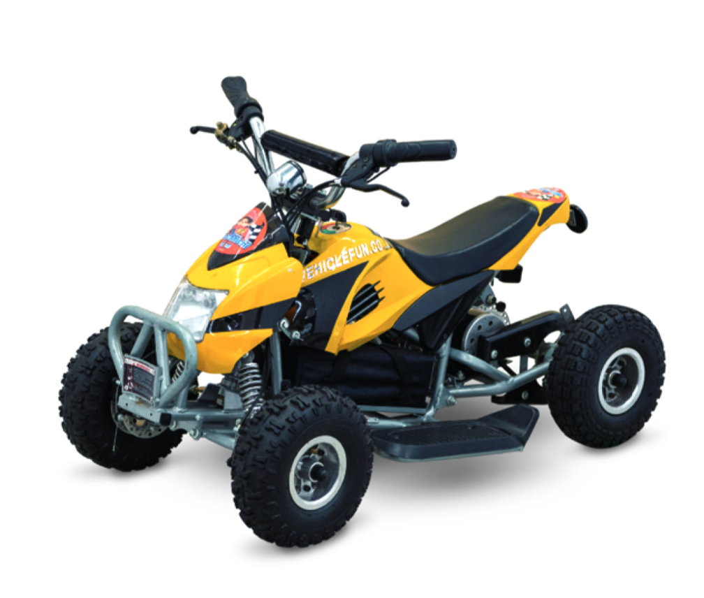 800w 電動quad Kids Atv Ev Garage